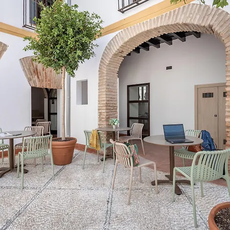 Cats Hostel Cordoba-3